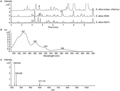 Benzanthric Acid, a Novel Metabolite From Streptomyces albus Del14 Expressing the Nybomycin Gene Cluster